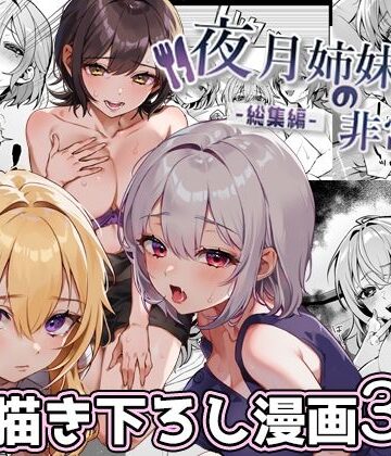 【徹底レビュー】夜月姉妹の非常食-総集編-（nikukyu）｜d_380651